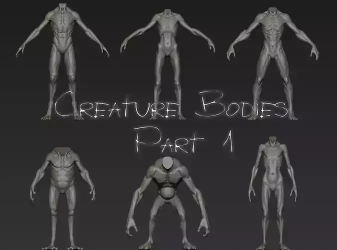 Creature Bodies Part 1