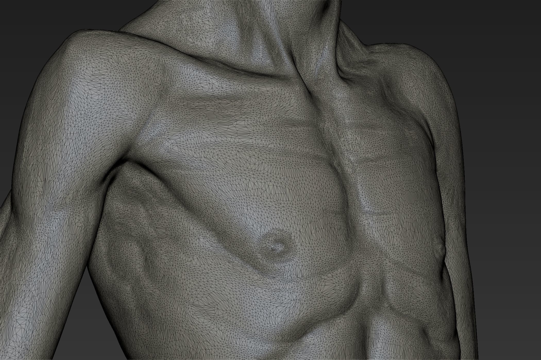Creature Bodies Part 1 3D model_19