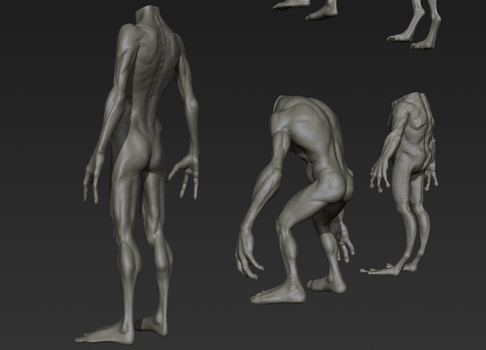 Creature Bodies Part 1 3D model_7