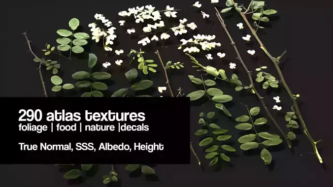 Huge atlas pack 2  - 290 textures - 34 Items