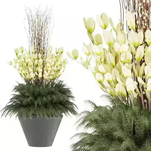 plant outdoor 001
