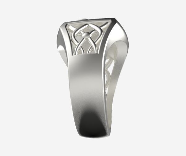 Zodiac ring Scorpio 3D print model_21