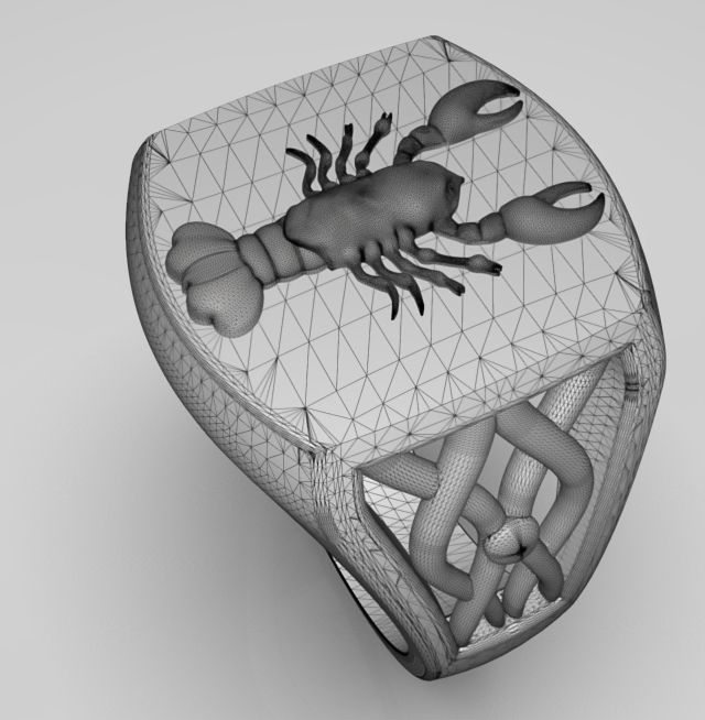 Zodiac ring Cancer 3D print model_18