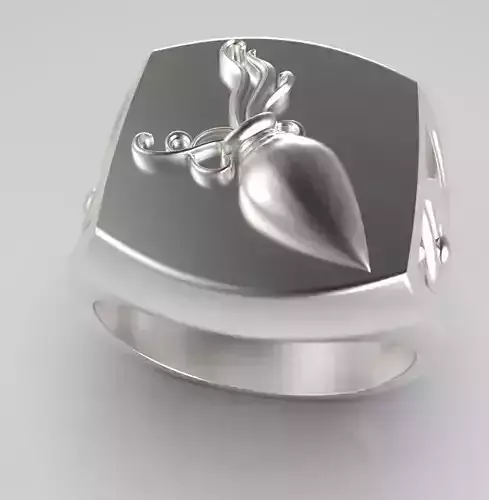Zodiac ring Aquarius
