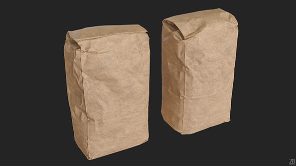 Flour Bag 3D model_10