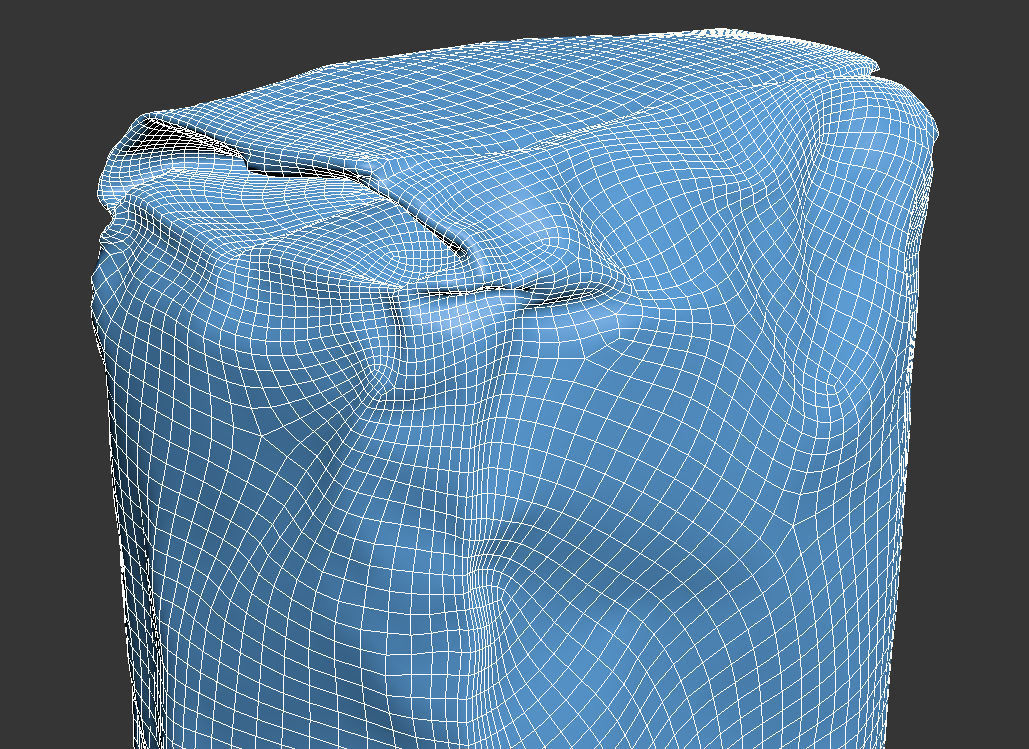 Flour Bag 3D model_7