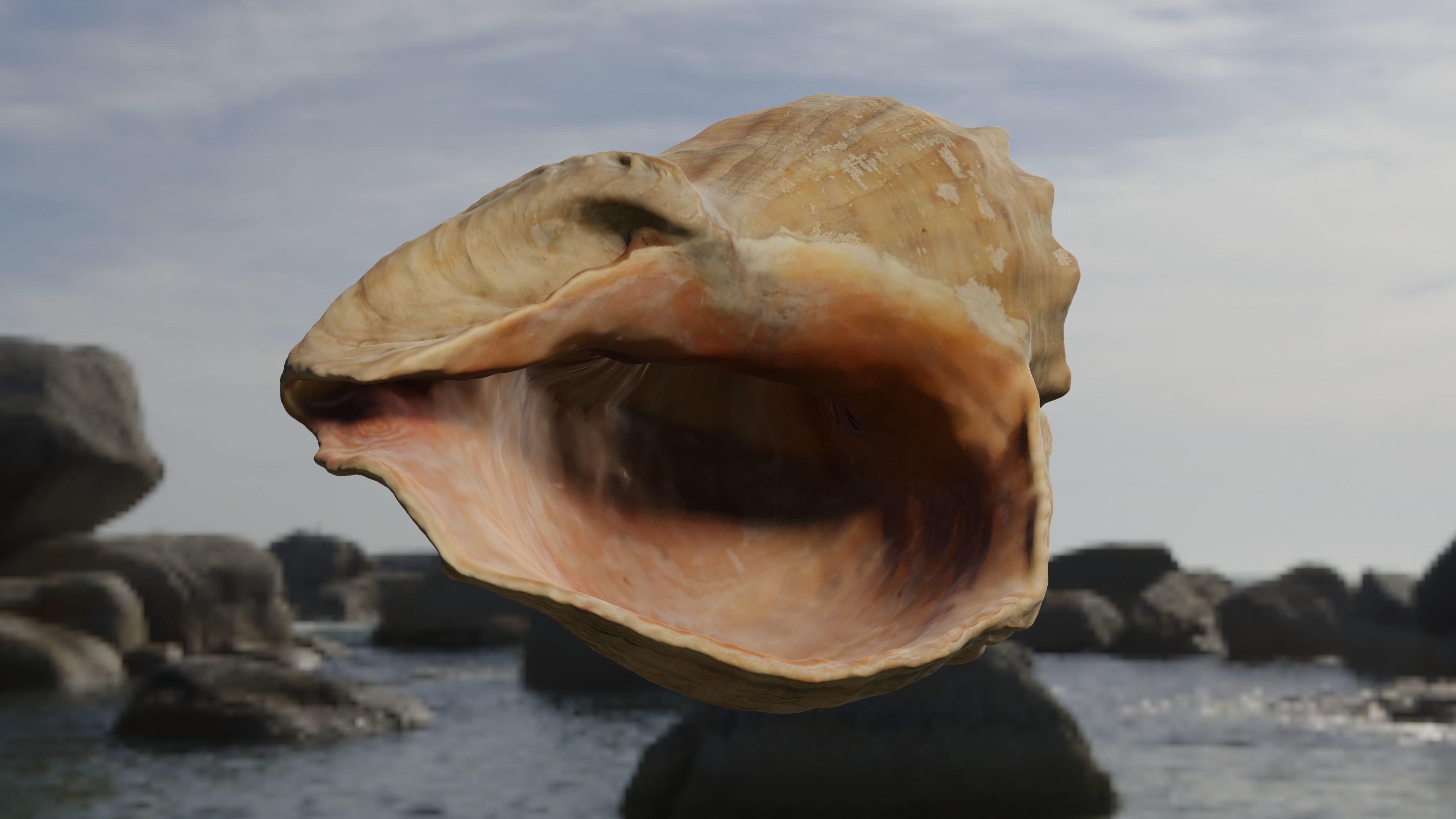 3D scan Seashell Free 3D model_1