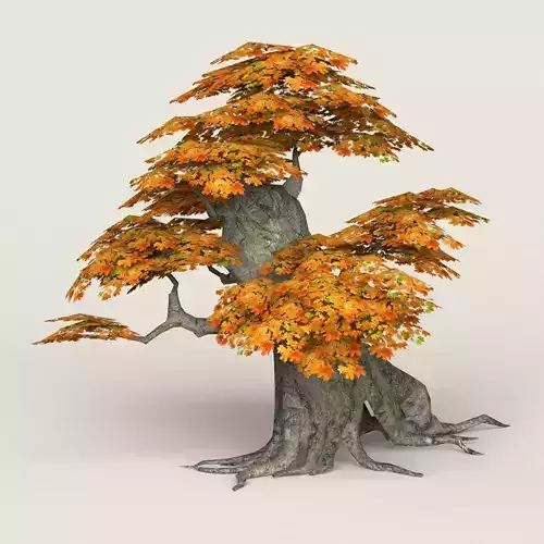 Fantasy Maple Tree 05