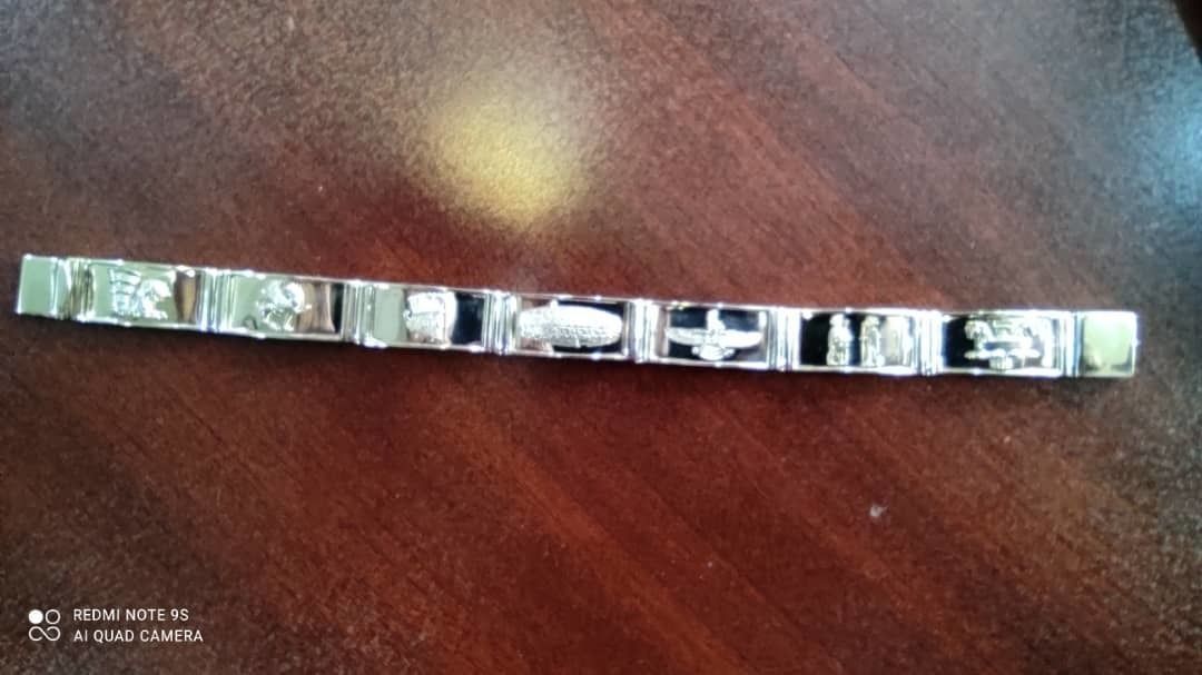 B-114 persian lion  3D print model_7