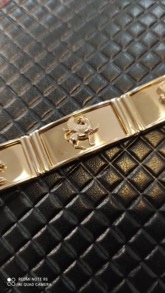 B-114 persian lion  3D print model_8