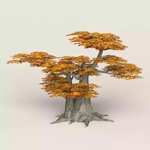 Fantasy Maple Tree 10