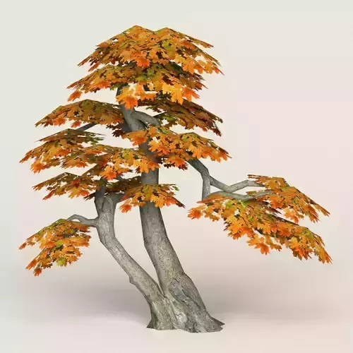 Fantasy Maple Tree 14 Low-poly 3D model