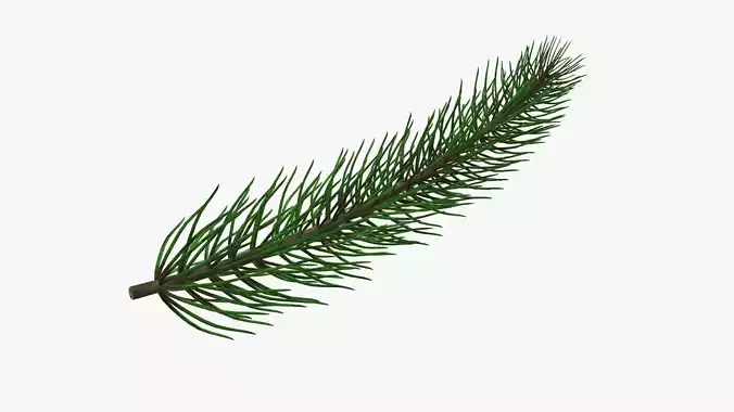 Fir tree branch 01 3D model