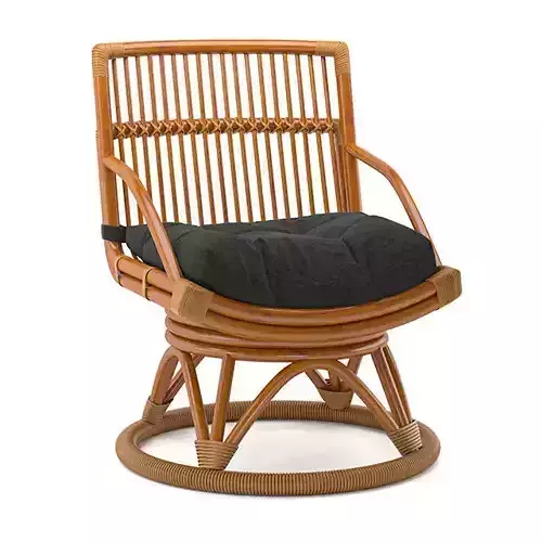 Armchair rattan lounge chair with cushion