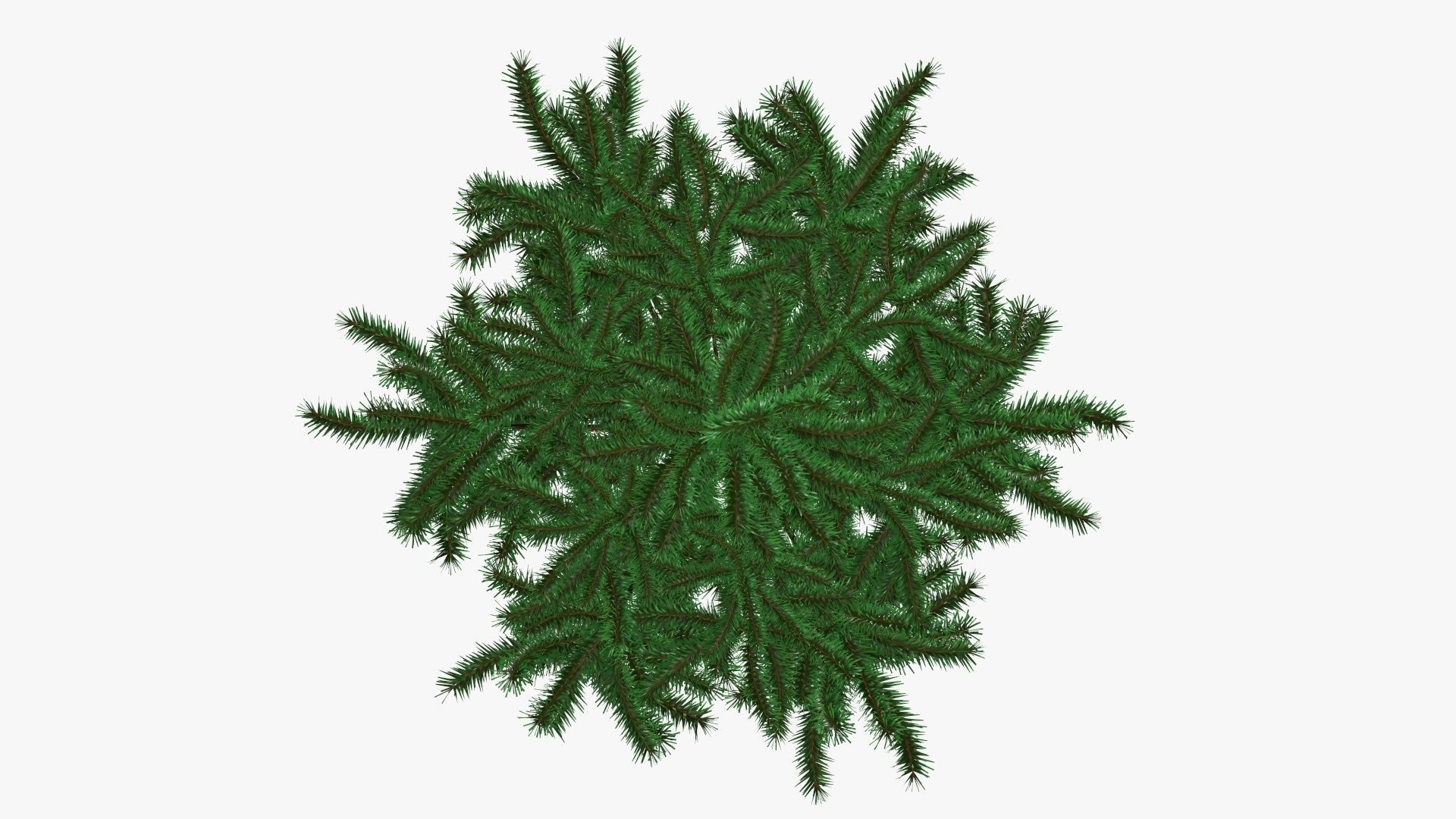Fir tree artificial 02 3D model_4