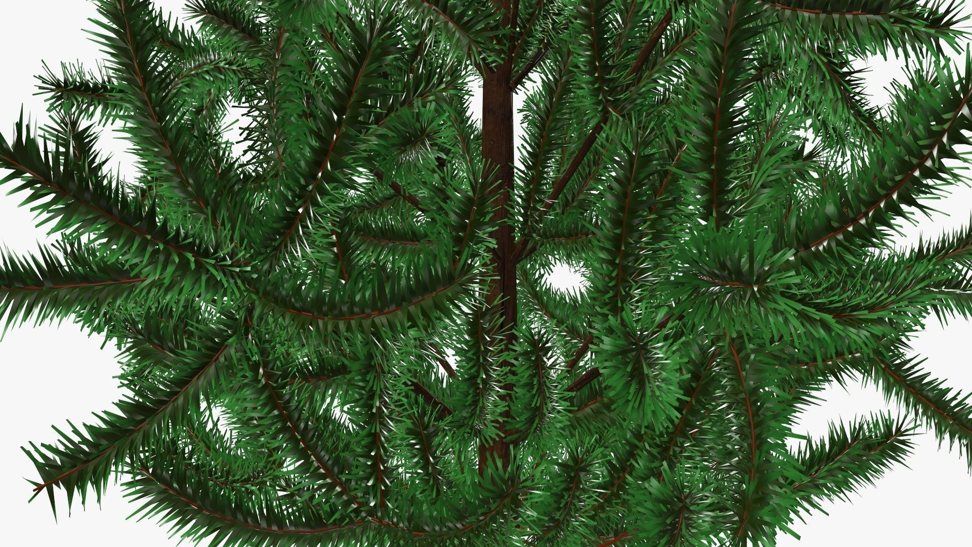 Fir tree artificial 02 3D model_3