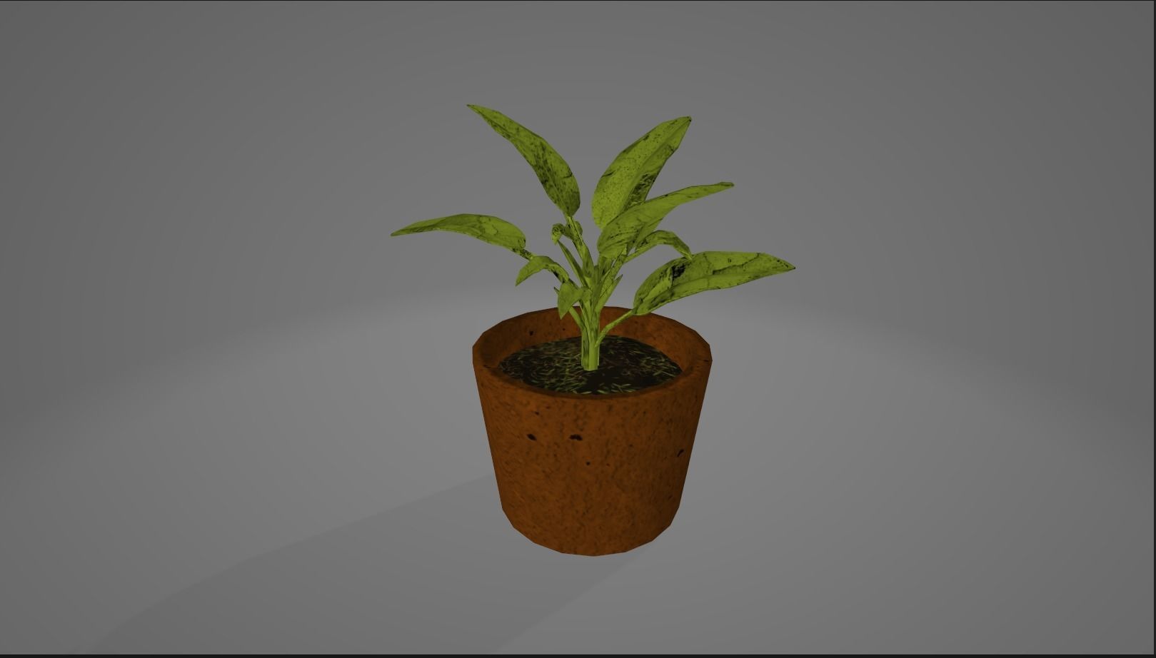 Plant Pot 3D model_2