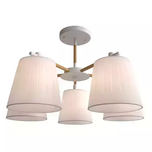 Ceiling chandelier Passeto SL375-502-05