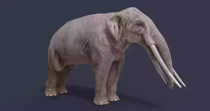 Stegotetrabelodon syrticus Low-poly 3D model