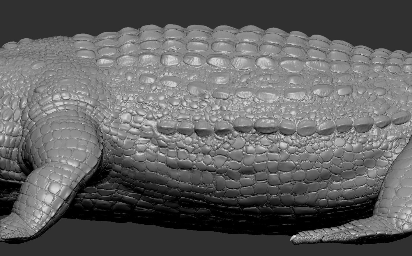 Crocodile alligator 3D model_19