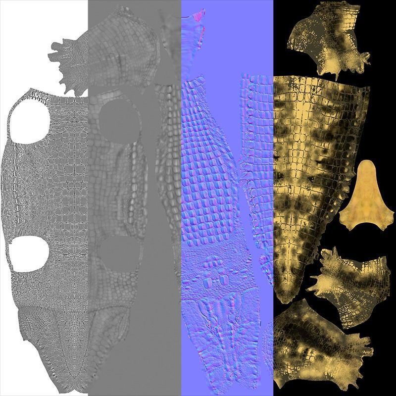 Crocodile alligator 3D model_30