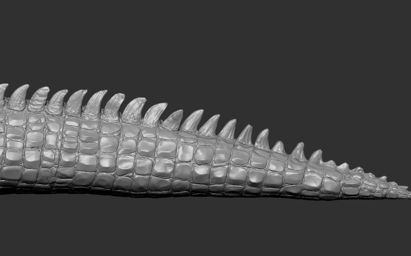 Crocodile alligator 3D model_21