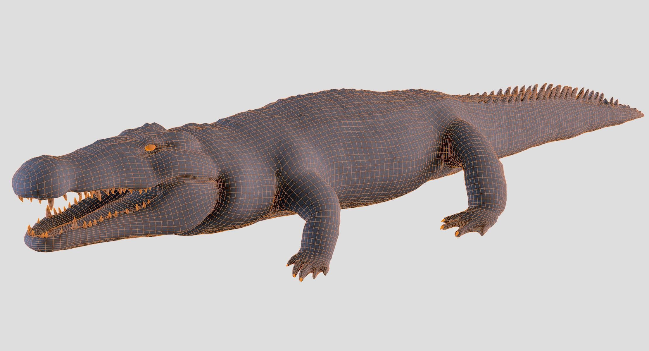 Crocodile alligator 3D model_27