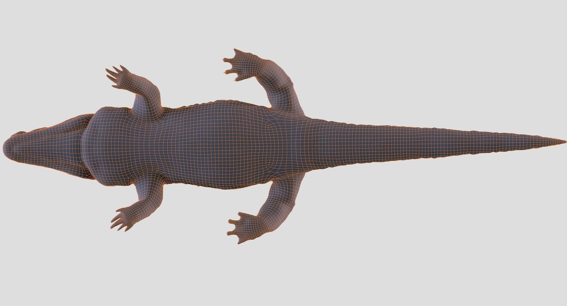 Crocodile alligator 3D model_29