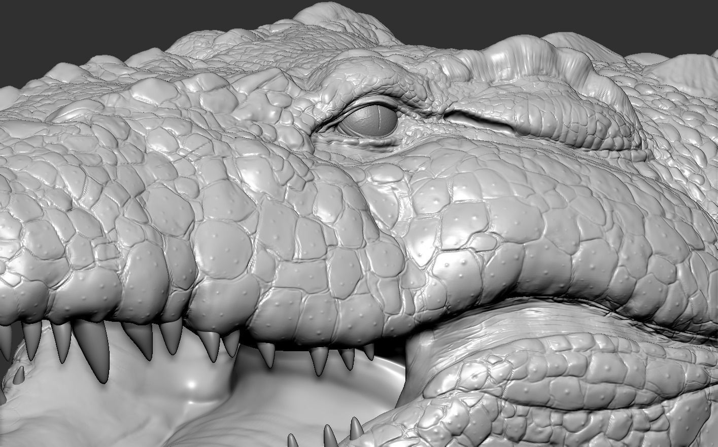 Crocodile alligator 3D model_23