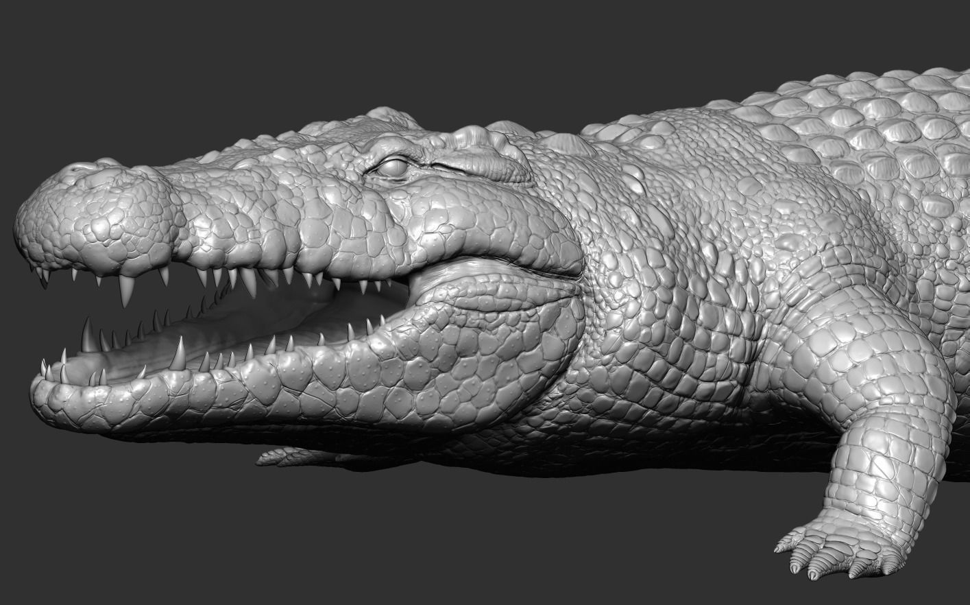 Crocodile alligator 3D model_16