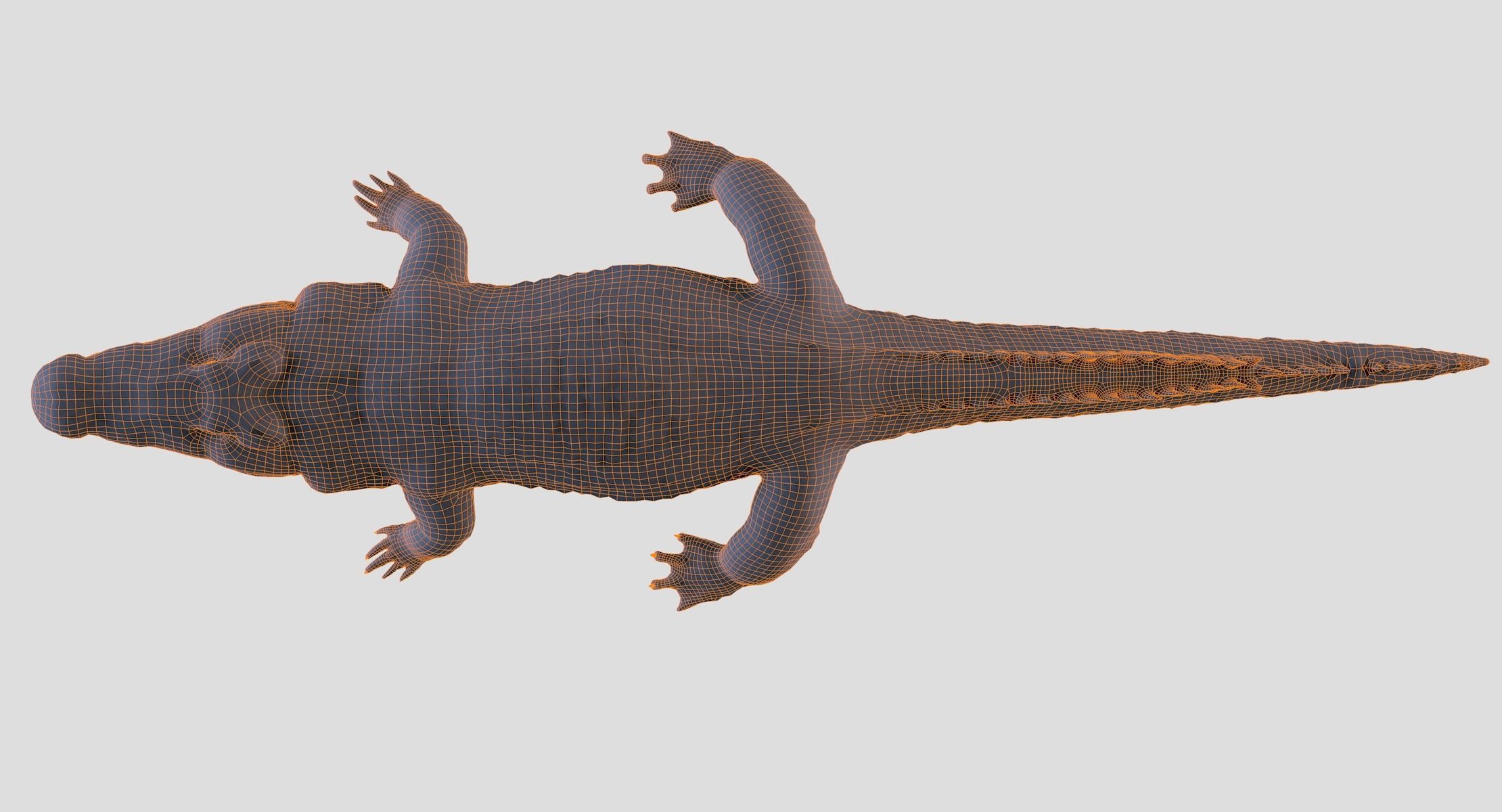 Crocodile alligator 3D model_28