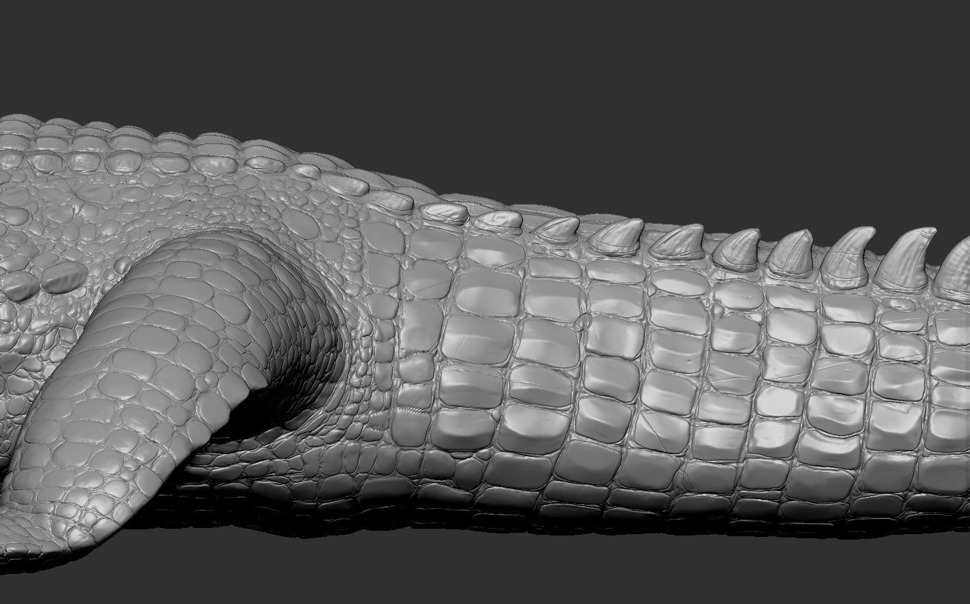 Crocodile alligator 3D model_20