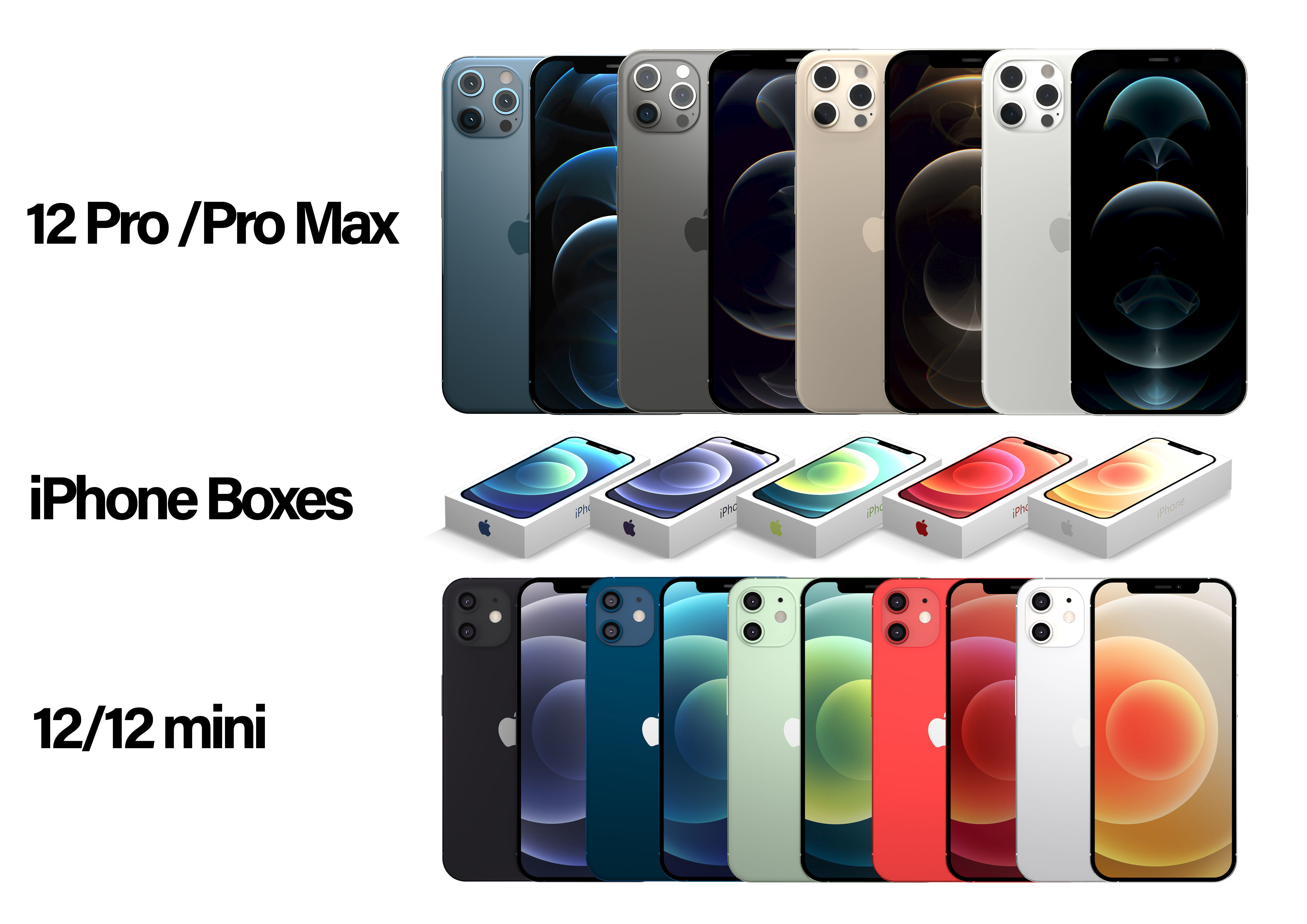 Apple 2020 iPhone Collection Low-poly 3D model_3