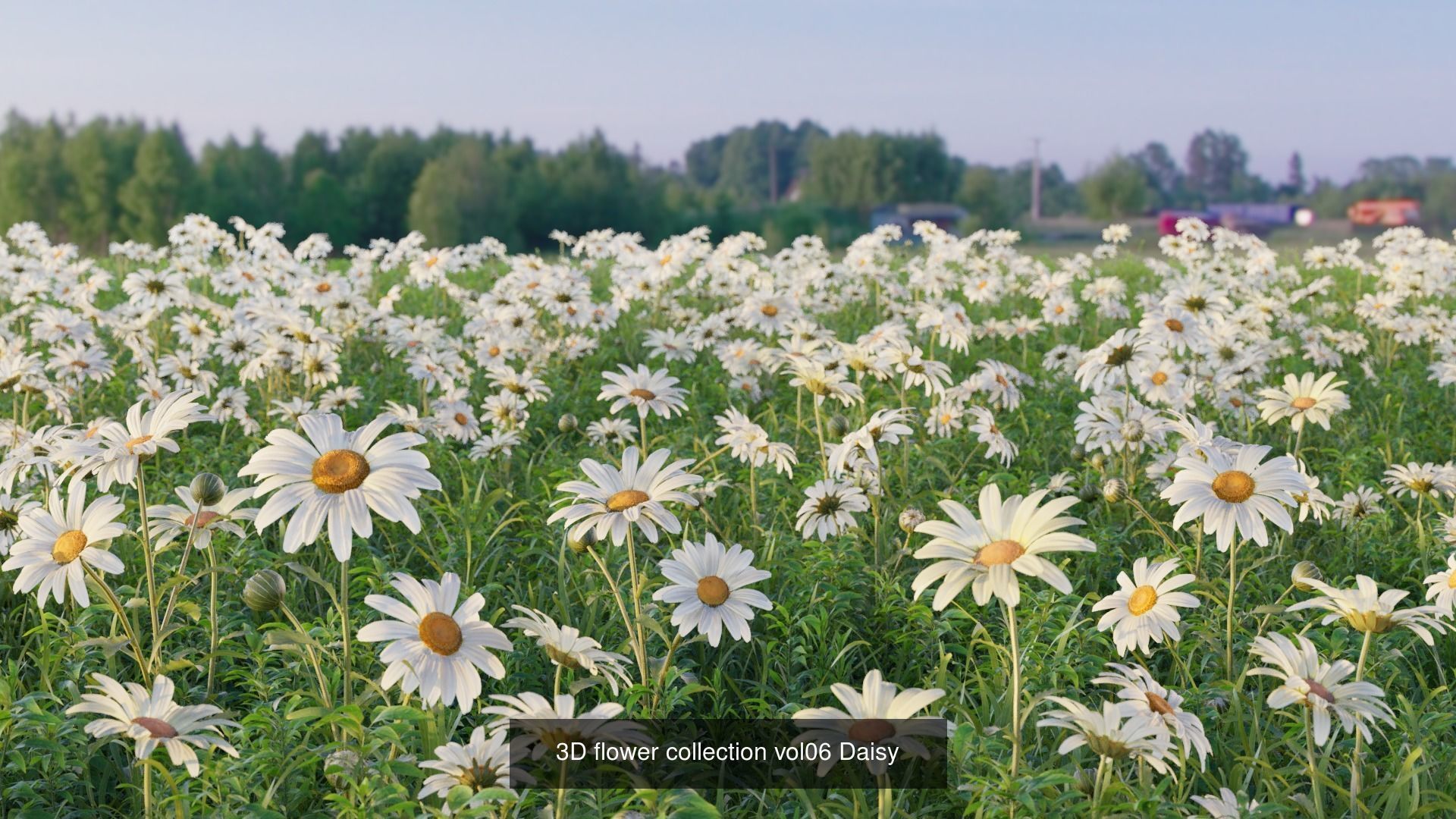 3d Blooming wildflowers collection Vol01 _16