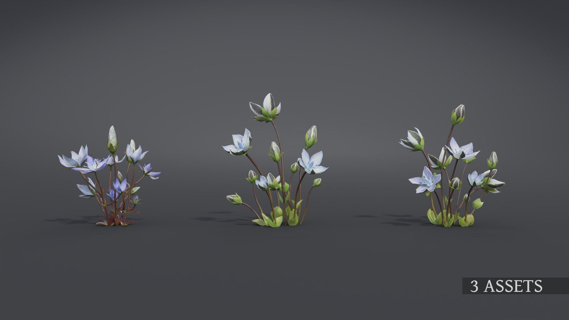 3d Blooming wildflowers collection Vol01 _14