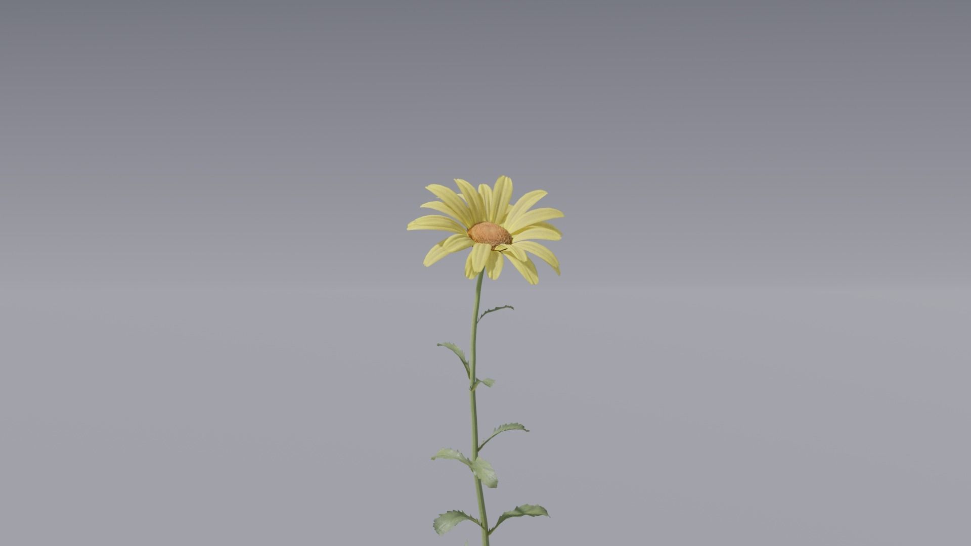 3d Blooming wildflowers collection Vol01 _18