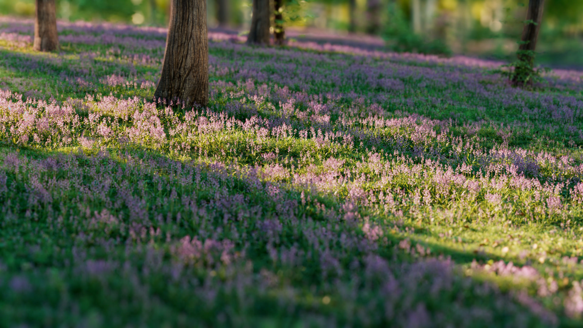 3d Blooming wildflowers collection Vol01 _4