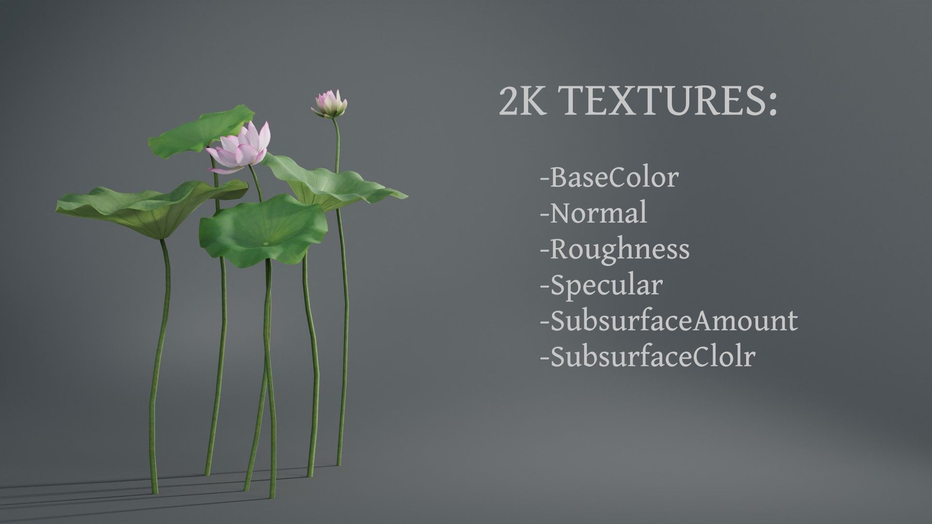3d Blooming wildflowers collection Vol01 _10