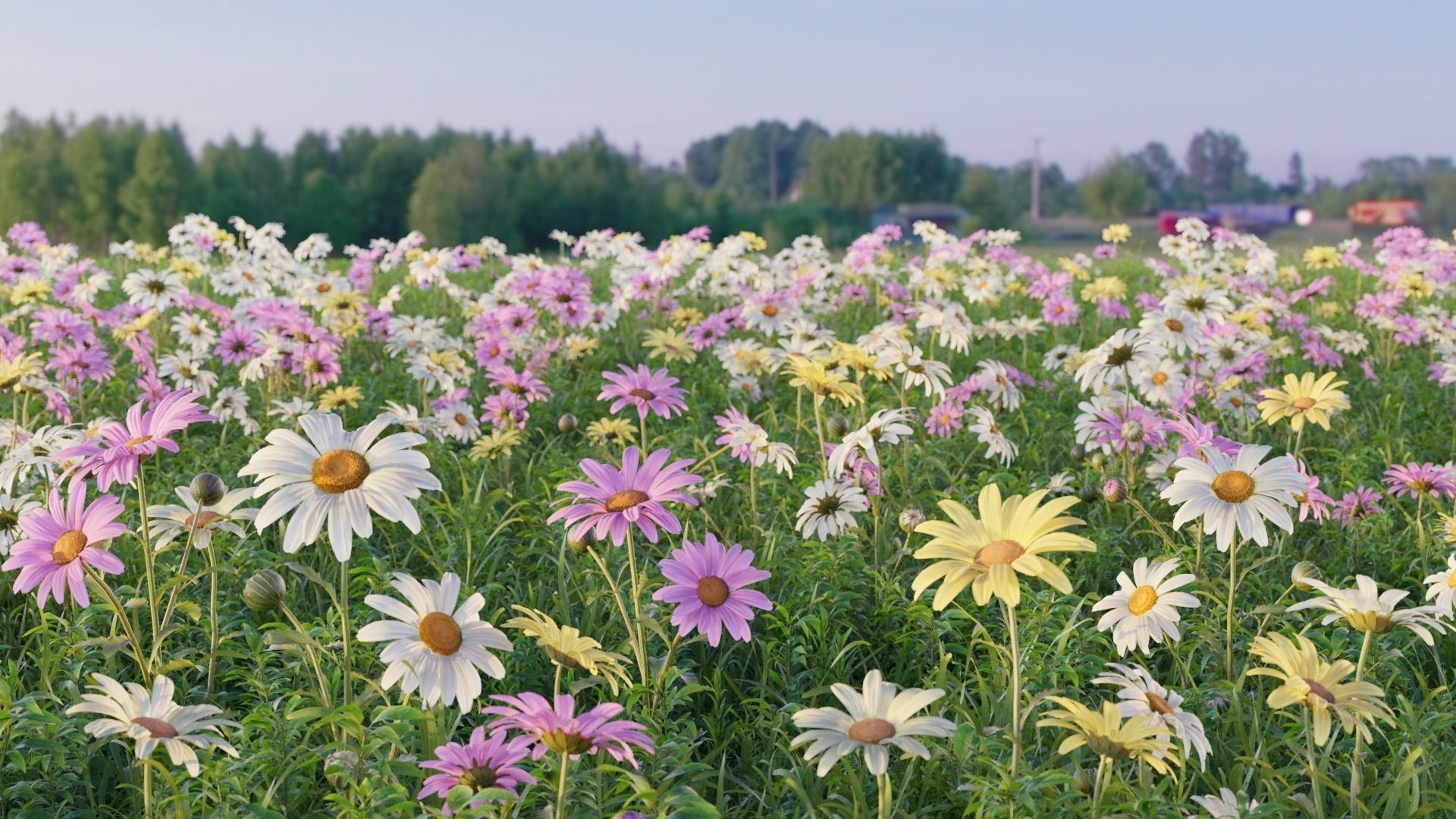 3d Blooming wildflowers collection Vol01 _17