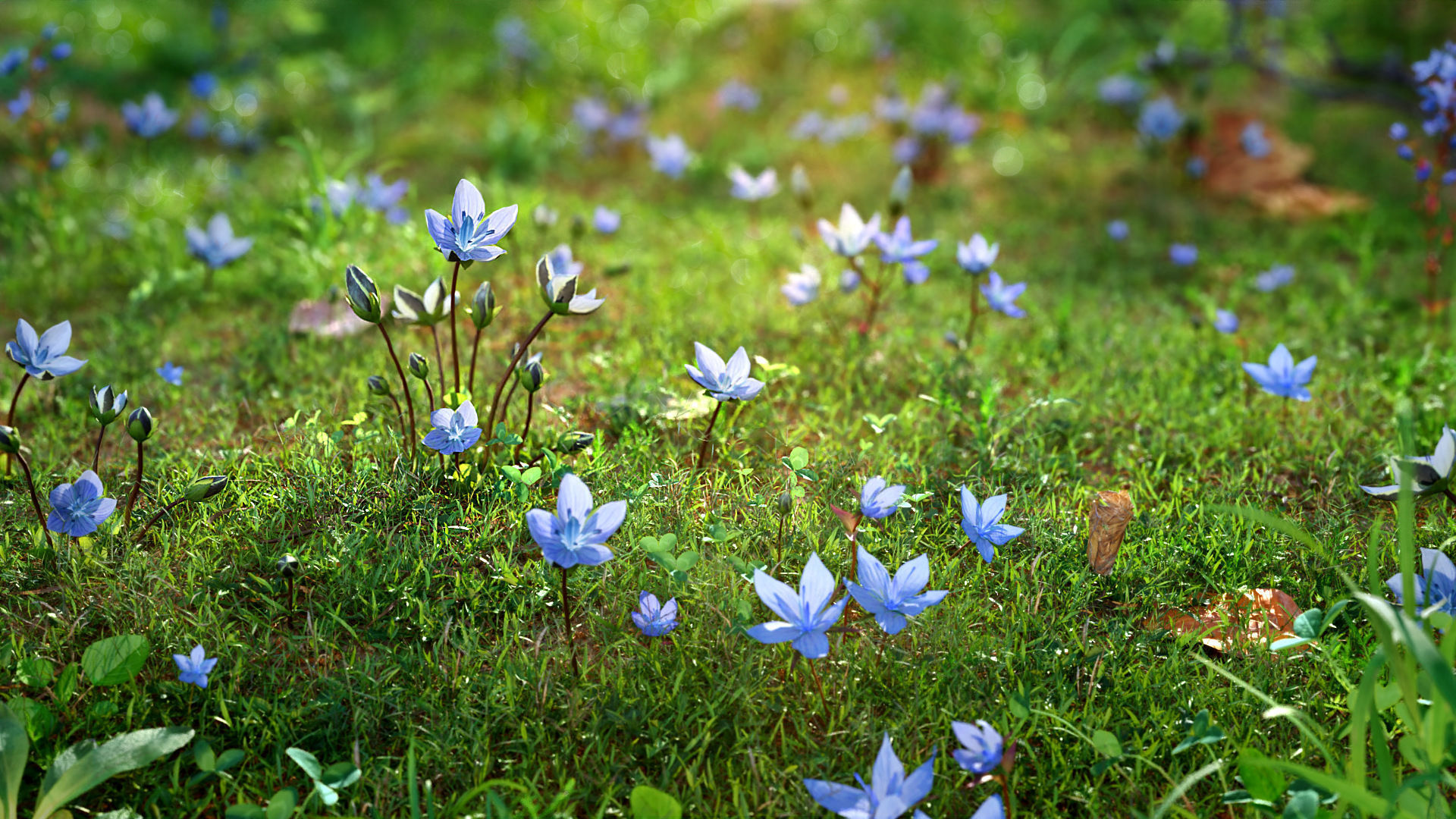 3d Blooming wildflowers collection Vol01 _12