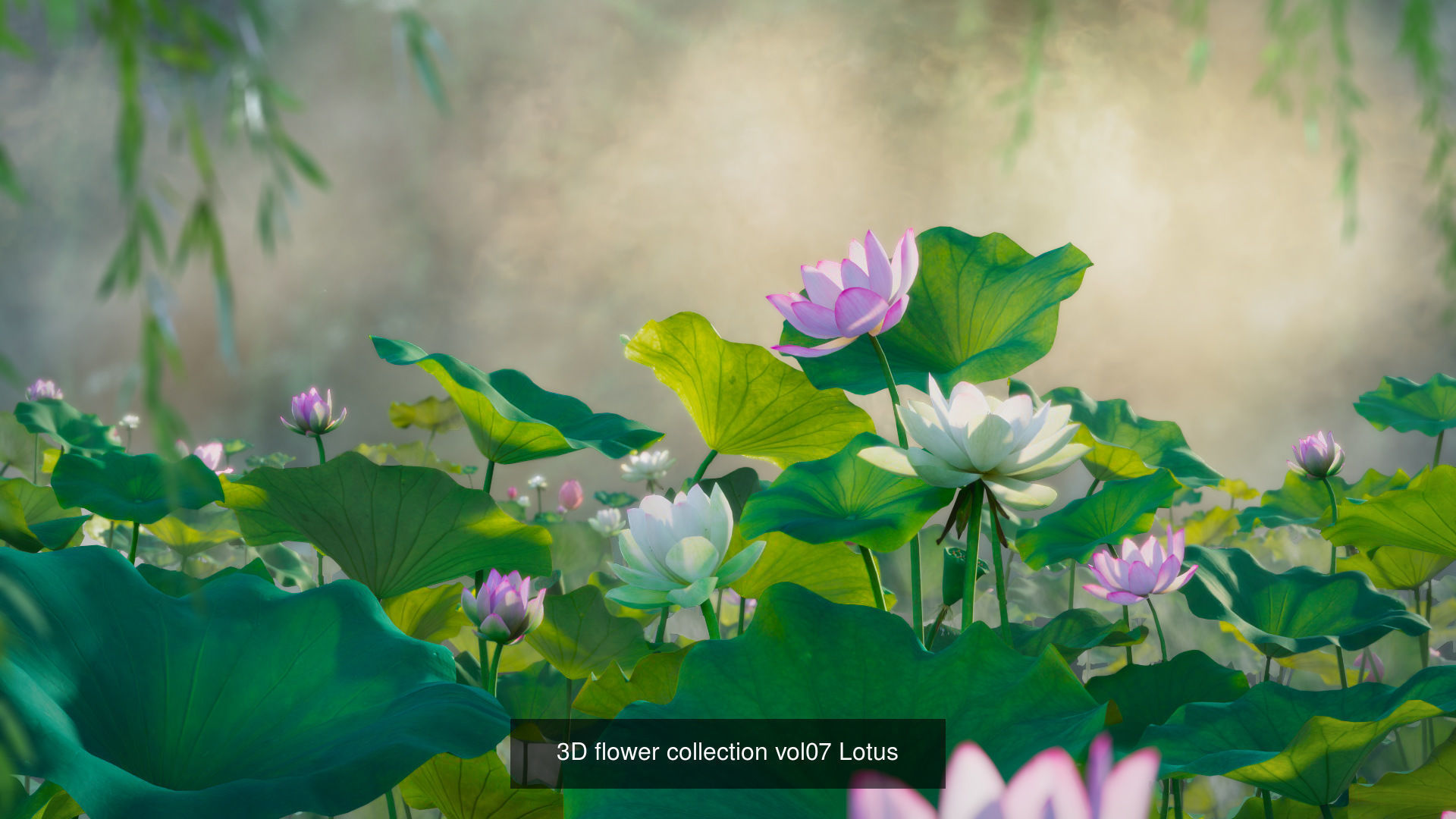 3d Blooming wildflowers collection Vol01 _8