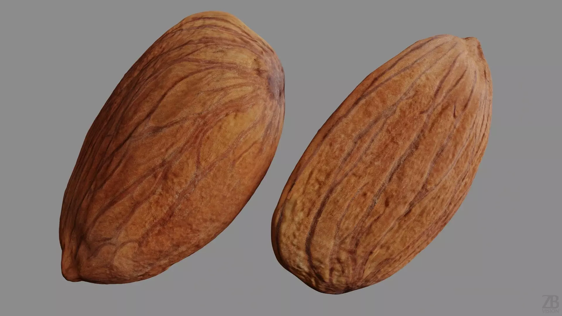 Almond 3D model_8