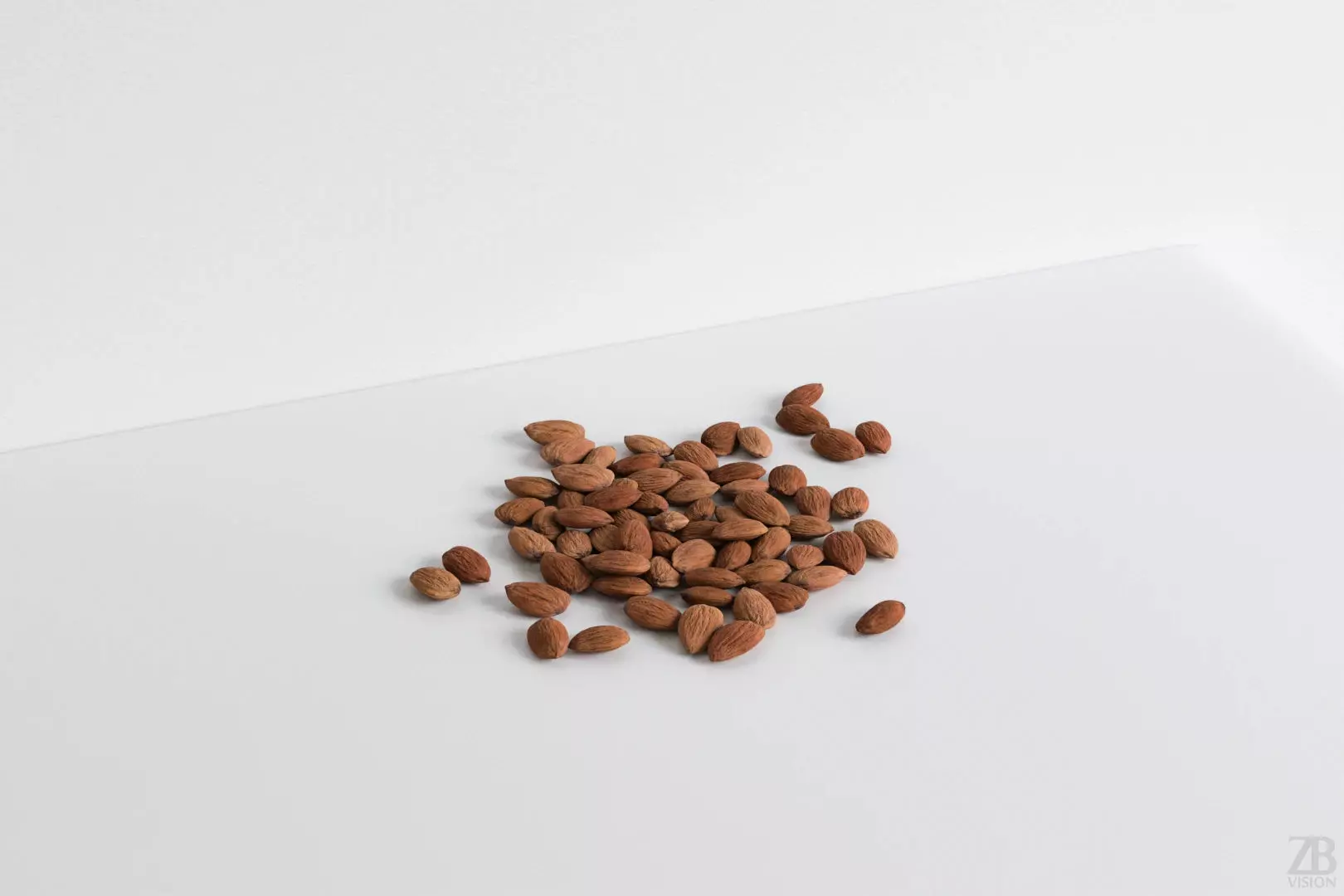Almond 3D model_0