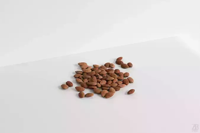 Almond 3D model Almond 3D model