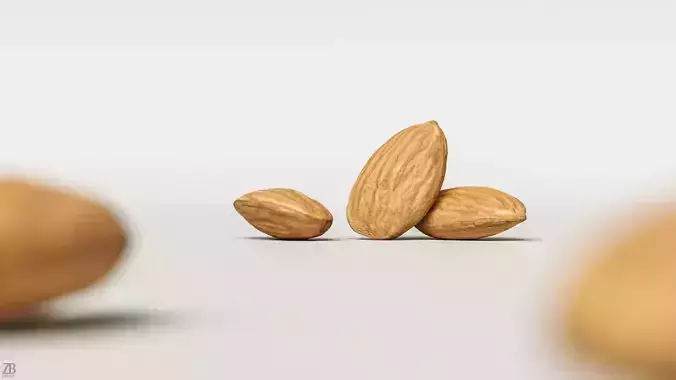 Almond 3D model