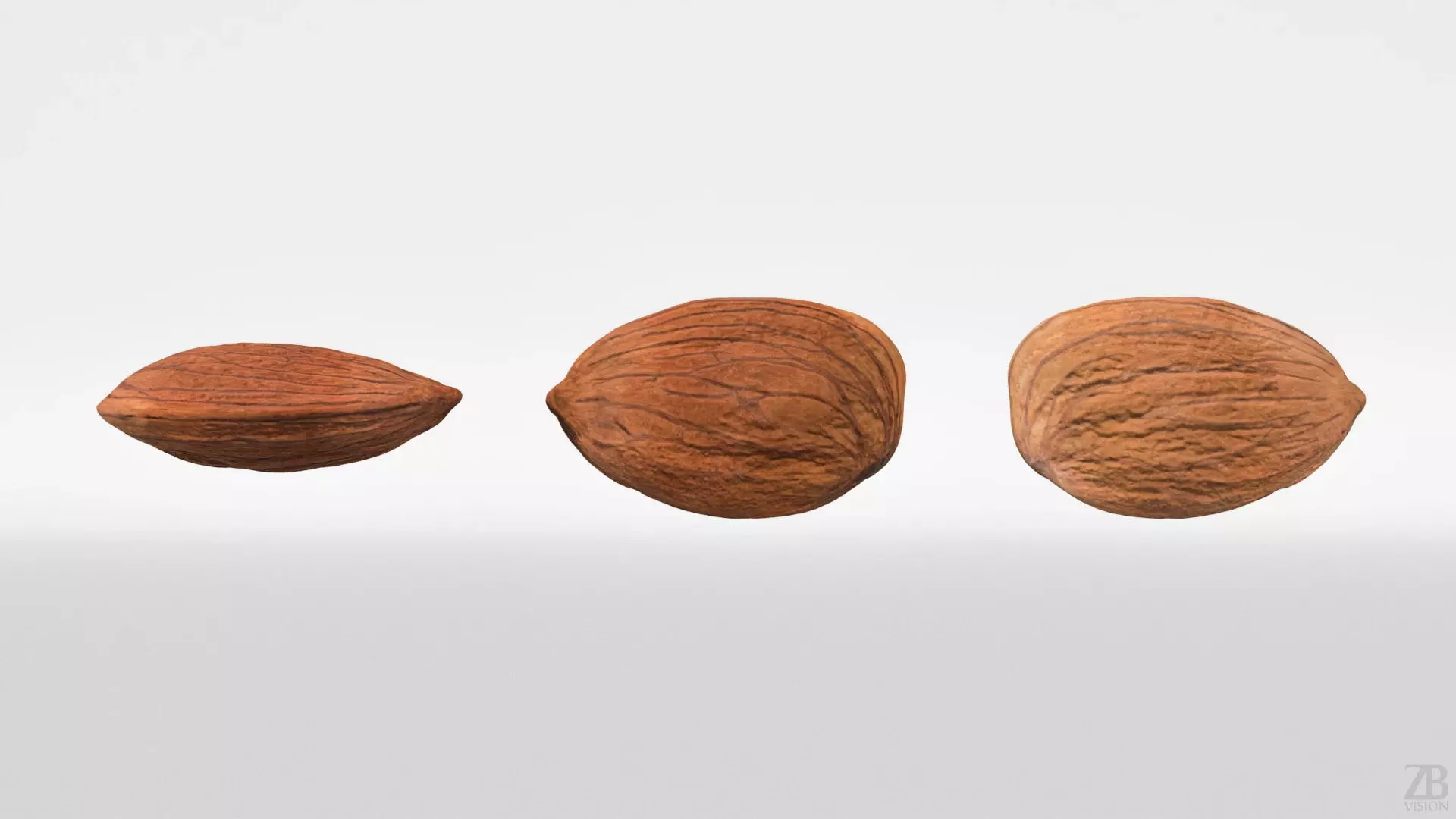 Almond 3D model_4