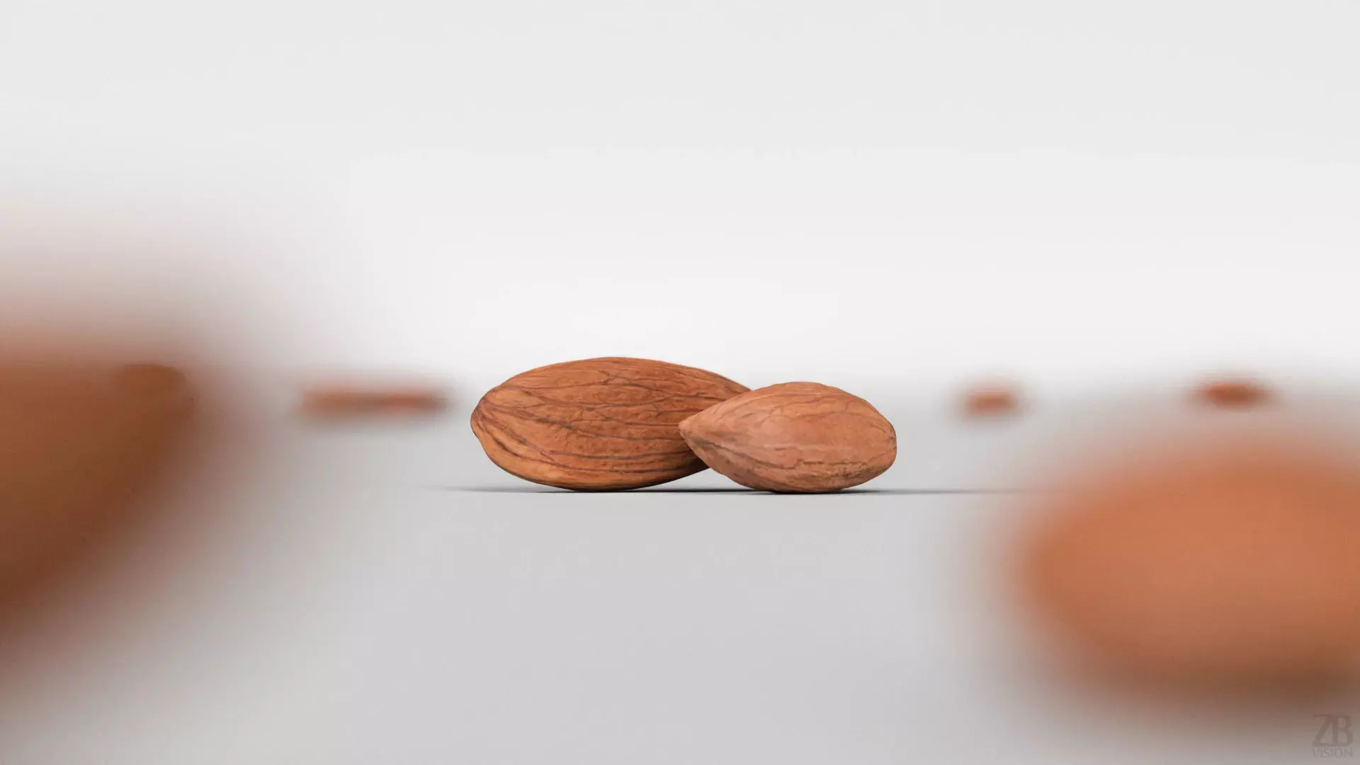 Almond 3D model_1