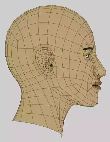 Female Head Simple V2 Low-poly 3D model