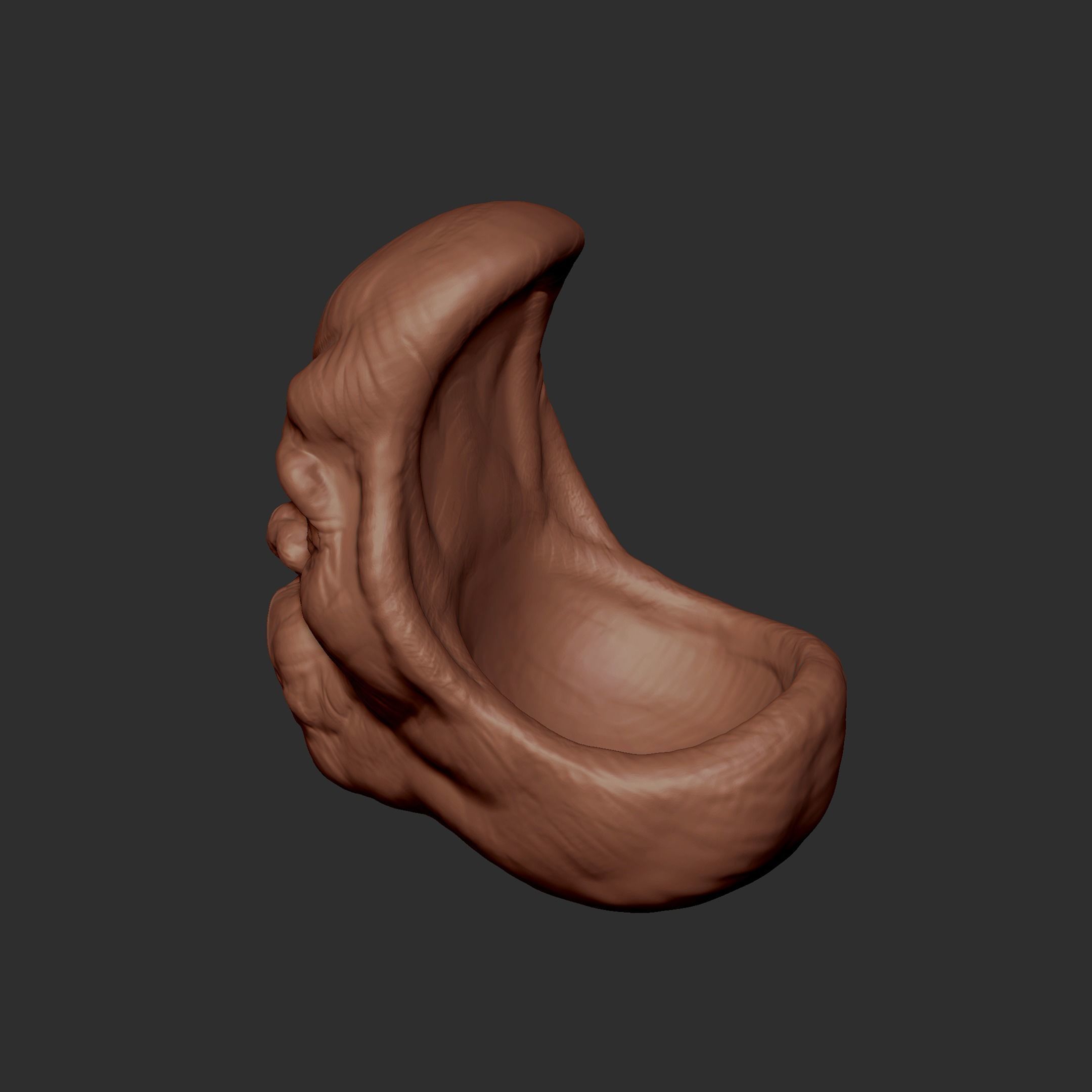 Face bowl 3D print model_2