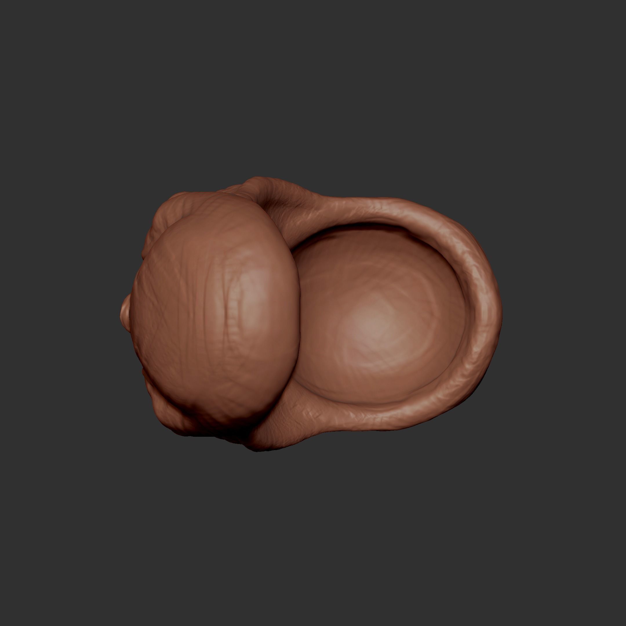 Face bowl 3D print model_3